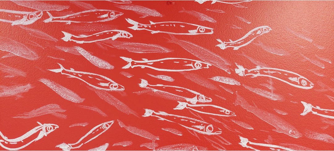 La sardine
