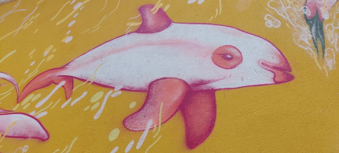 Vaquita-MaCO